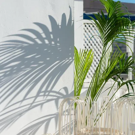 Apartment Wonderful Penthouse 3 Bedrooms In Puerto Banus -marbella